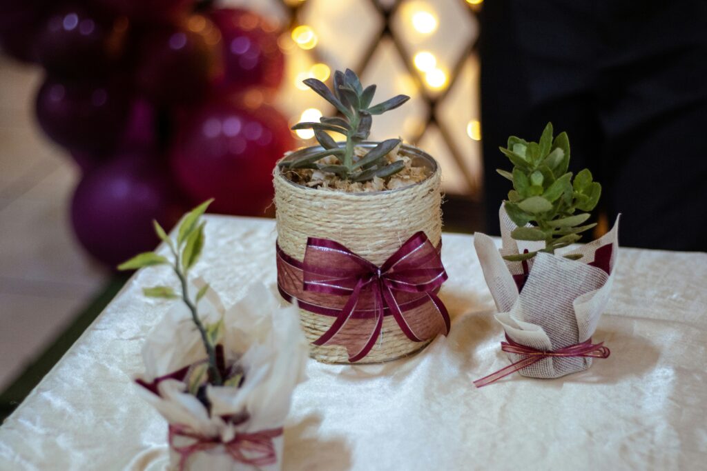 Handmade planters with succulents